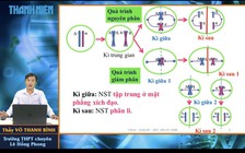 Bí quyết ôn thi tốt nghiệp THPT đạt điểm cao: Cách tính kiểu gen nhanh nhất