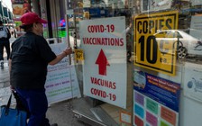 Hàng trăm triệu năm tuổi bị tước mất sau 2 năm đại dịch