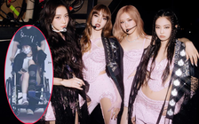 Mỹ nhân Trung Quốc bị chỉ trích vì ngồi xe lăn đến concert BlackPink