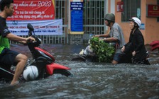 Ám ảnh mùa mưa ở TP.HCM: Lãnh đạo phường mãi trăn trở chống ngập cho bà con bớt khổ