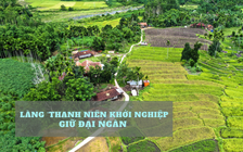 Đến làng ‘Thanh niên khởi nghiệp' của những người trẻ giữa chốn núi rừng