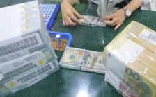 Giá USD hôm nay 5.5.2023: Đồng loạt đi xuống, riêng đô la tự do tăng giá mua