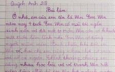 Những bài tập làm văn tiểu học được khen giàu cảm xúc