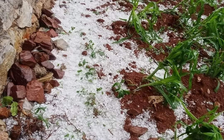 Hơn 800 ngôi nhà ở Cao Bằng bị hư hỏng do thời tiết cực đoan