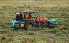 Nông dân Thừa Thiên - Huế 'chạy đua' trước diễn biến thời tiết bất thường