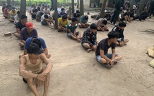 Tây Ninh: Triệt phá sòng đá gà tại quán cà phê Cây Vú Sữa