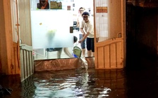 Đường phố Hà Nội 'ngập như sông' sau cơn mưa chập tối