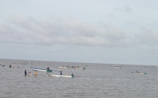 Cà Mau: Hàng trăm phương tiện vào Vườn quốc gia khai thác nghêu giống trái phép