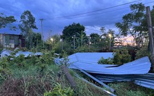 Bình Định: Lốc xoáy bất thường gây thiệt hại ở xã Phước Hưng
