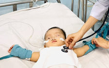 Tình hình dịch bệnh tay chân miệng, sốt xuất huyết tại TP.HCM