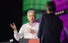 Nỗi lo trí tuệ nhân tạo 'tiếp quản' thế giới