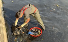 Người người chạy đua… 'bắt trend' để làm gì: Cho vui hay phải theo xu thế?