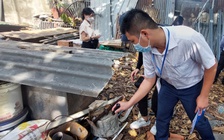 Tình hình dịch bệnh tay chân miệng, sốt xuất huyết tại TP.HCM