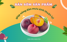 Cùng sống xanh số 35: Bỏ việc lương cao ở Thủ đô, cô gái về quê Bắc Kạn tìm cách bán sớm nông sản cho người dân bản địa