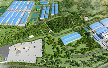 Doanh nghiệp xin đầu tư nhà cao tầng để nuôi lợn