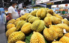 Sầu riêng tăng đẳng cấp, làm quà lấy lòng mẹ vợ ở Trung Quốc