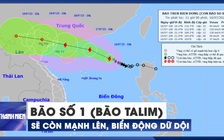 Bão số 1 (bão Talim) sẽ còn mạnh lên, biển động dữ dội