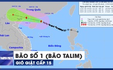 KHẨN CẤP: Bão số 1 (bão Talim) còn cách Móng Cái 480 km, gió giật cấp 15