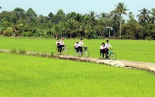 Nông thôn mới phải thực sự là nơi đáng sống, đáng để quay về