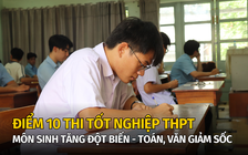 Điểm 10 thi tốt nghiệp THPT: Môn sinh tăng đột biến, toán - văn giảm sốc