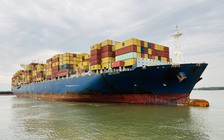 Hãng tàu container lớn nhất thế giới mở tuyến dịch vụ mới tại Việt Nam