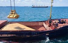 NATO - Ukraine họp về thỏa thuận ngũ cốc