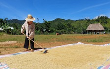 Trở lại ngôi làng cư dân mang tên 'lai'