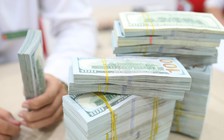 Giá USD hôm nay 25.7.2023: Đô la Mỹ đồng loạt tăng trong khi euro lao dốc