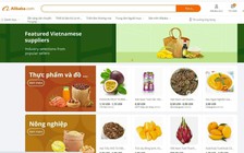 Số lượng người mua sản phẩm Việt Nam trên sàn Alibaba.com tăng 55%