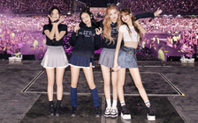 Truyền thông Hàn Quốc đưa tin ồn ào show BlackPink ở Việt Nam