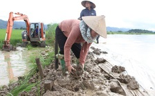 Đắk Lắk: Mưa lũ gây sạt lở, sập nhà dân, ngập hơn 2.400 ha cây trồng