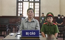 Hải Dương: Lừa đảo 600 triệu đồng, lãnh 7 năm tù