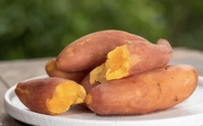 Thực phẩm người sống thọ trên thế giới hay ăn hằng ngày