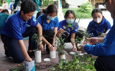 Để làm chủ tương lai, thanh niên cần trang bị kỹ năng xanh