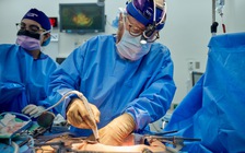 Thận lợn tiếp tục hoạt động sau hơn 1 tháng ghép cho người