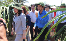 Bí thư Dương Văn An: 'Khó khăn chưa từng có, Bình Thuận vẫn bứt phá vươn lên'