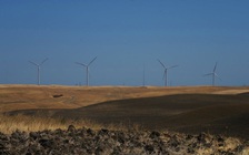 Bí ẩn đằng sau dự án gom đất gần Thung lũng Silicon