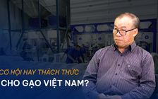 Vấn đề và Giải pháp: Cơ hội hay thách thức cho gạo Việt Nam?