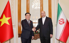Thúc đẩy hơn nữa quan hệ hữu nghị, hợp tác Việt Nam - Iran