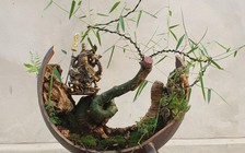 'Hô biến' phôi tre thành bonsai, bán giá hàng chục triệu đồng/cây