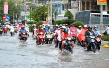 Cà Mau: Kiến nghị xây dựng hệ thống thoát nước trên tuyến quốc lộ qua địa bàn