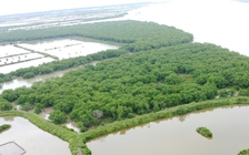 Thái Bình đang rà soát thực địa về việc thu hẹp khu bảo tồn thiên nhiên Tiền Hải