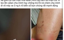 Cà Mau: Bắt 2 nghi phạm gây ra hàng loạt vụ cướp tài sản trên sà lan