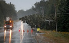 Bão Lee đổ bộ Canada, đã có 1 người chết ở Mỹ