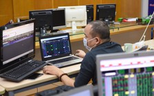 Nhiều cổ phiếu bị cảnh báo do chậm nộp báo cáo tài chính soát xét bán niên