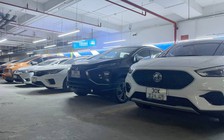 Đấu giá biển số 'đẹp' hạ nhiệt, thấp nhất chỉ 45 triệu đồng