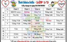 Chèn môn 'tự nguyện' vào chính khóa: Sở GD-ĐT TP.HCM nói gì?