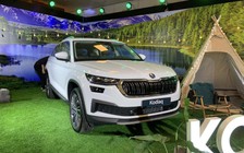 Skoda Kodiaq 'đấu' Hyundai Santa Fe tại Việt Nam, giá từ 1,189 tỉ đồng