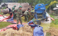 Sau mưa lũ, chiến sĩ biên phòng giúp dân gặt lúa, thầy cõng trò đến lớp