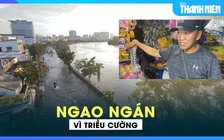 Dân quận 7 ngao ngán vì triều cường biến đường bộ thành ‘đường sông’